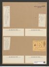 Rhaphoneis amphiceras Ehr. (de-Toni-Nr.: Genus 78, Species 2811) Zeichnungen Sammlung Grunow Nr. 5773 (NHMW-BOT-W0374168)